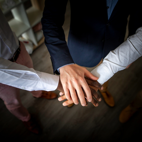 Trust and Foundation Formation Services