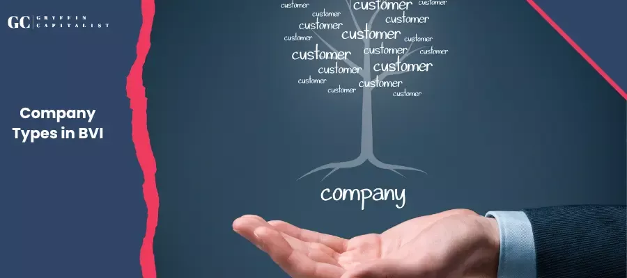 BVI Company Types : Choose the Right Structure for Your Business