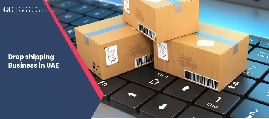 Everything About the Dropshipping Business in UAE