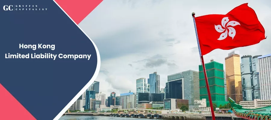 Everything About Forming a Limited Liability Company in Hong Kong
