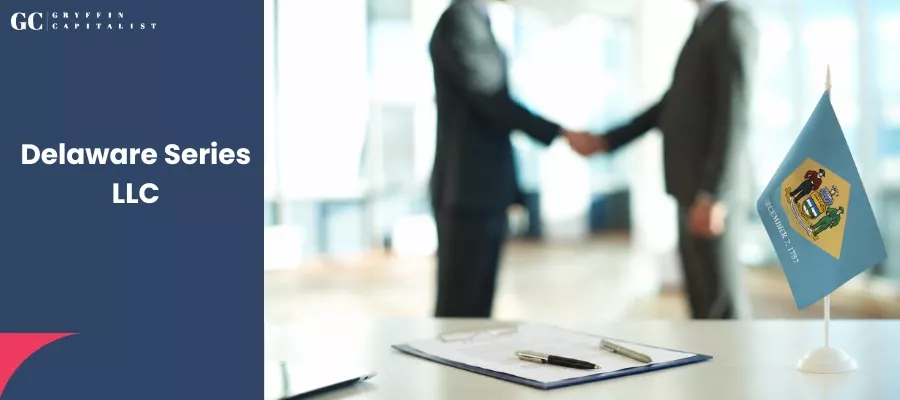 Delaware Series LLC: Everything You Need to Know
