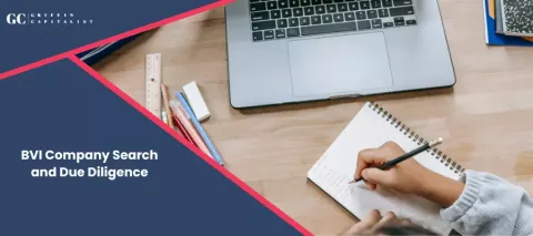 British Virgin Islands Company Search and Due Diligence