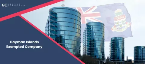 What is the Cayman Islands Exempted Company