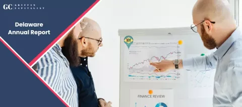 What is the Delaware Annual Report?