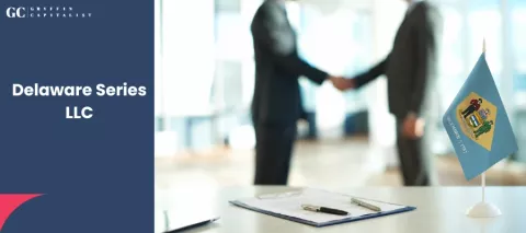 Delaware Series LLC