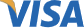 Visa Card
